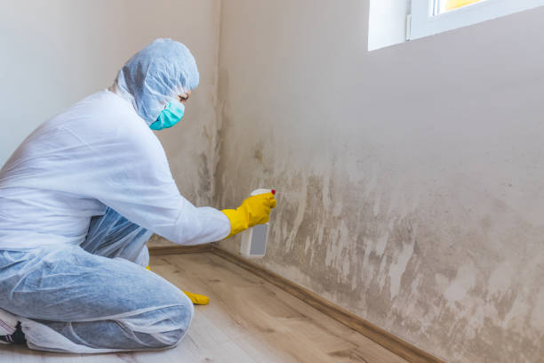Crawl Space Mold Remediation treatment of floor joists in Greencastle