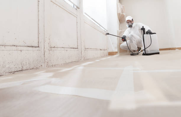Black mold remediation team in Greencastle